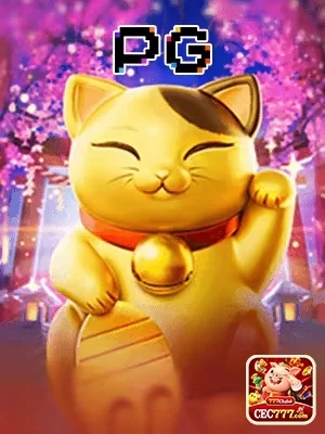 Suporte Especializado em Português Disponível - cec777.com